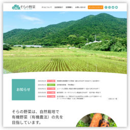 自然栽培そら（そらの野菜®）無農薬野菜の通販有機野菜の先を...