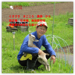 蝗ｺ螳夂ｨｮ縲∬?辟ｶ譬ｽ蝓ｹ縺ｮ驥手除螳??縺ｮ縺ｨ縺阪＊縺阪∪縺斐...